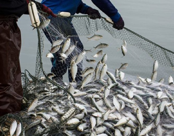 Sites de pêche artisanale